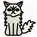 Persian Cat  Icon