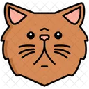Persian Cat Pet Cat Cat Icon