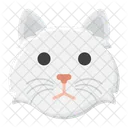 Persian Cat  Icon