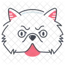 Persian Cat  Icon