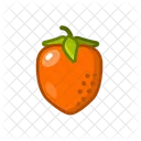 Persimmon Fruits Fruite Icon