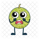 Cantalupo Icon