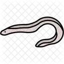 Pesca Reptil Animal Ícone