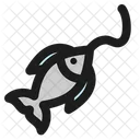 Pesca  Icon