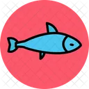 Peces Animales Muertos Icon