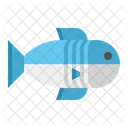 Pez  Icon