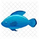 Pesce Mare Icon