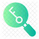 Pesquisa Chave Lupa Icon