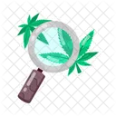 Pesquisa de cannabis  Icon