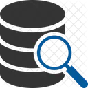Pesquisa de dados  Ícone