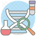 Pesquisa De DNA Cromossomo DNA Ícone