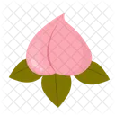 Pêssego  Ícone
