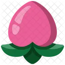 Pessego Ameixa Fruta Ícone