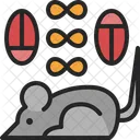 Pest Mouse Fly Icon