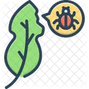 Pest Bug Insect Icon