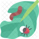 Pests Insects Control Icon