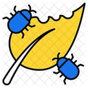 Pests  Icon