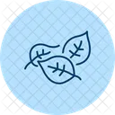 Pests On Leaves Garden Picnic Icon