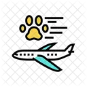Pet Transportation Airplane Icon
