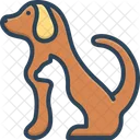 Pet Tame Dog Icon