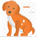 Pet Dog Puppy Icon