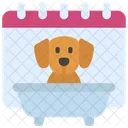 Pet Grooming Calendar Icon