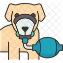 Pet Dog Breathing Icon