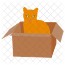 Pet Adoption Box Carton Icon