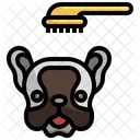 Pet Brush  Icon