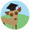 Pet competition  Icon