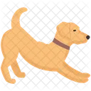 Pet Dog Domestic Icon