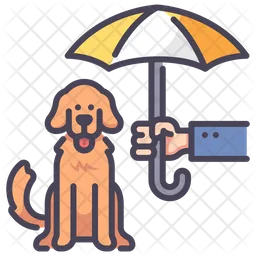 Pet Insurance  Icon