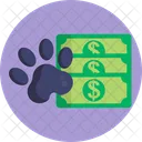 Pet Insurance Money Currency Icon