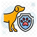 Pet Insurance  Icon