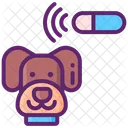 Pet Microchip  Icon