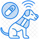 Pet Microchip Microchip Pet Icon