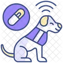 Pet Microchip Microchip Pet Icon