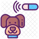 Pet Microchip  Icon