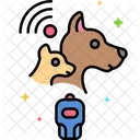 Pet Microchip  Icon