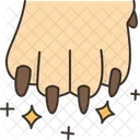 Pet Nail Grooming Nail Grooming Dog Nail Icon