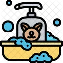 Pet Shampoo Pet Bath Pet Hygiene Icon