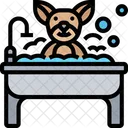 Pet Shower  Icon