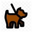 Dog Leash Dog Simple Icon