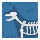 Pet X Rays Icon