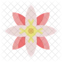 Petal Blossom Spring Icon