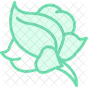 Petale De Fleur Petale De Fleur Petale Icon