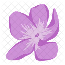 Petals  Icon