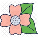 Petals  アイコン