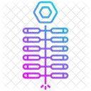 Petard  アイコン