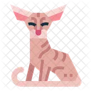 Peterbald Cat  Icon